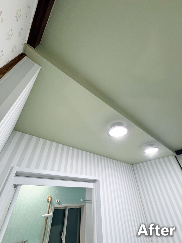 脱衣所天井クロス