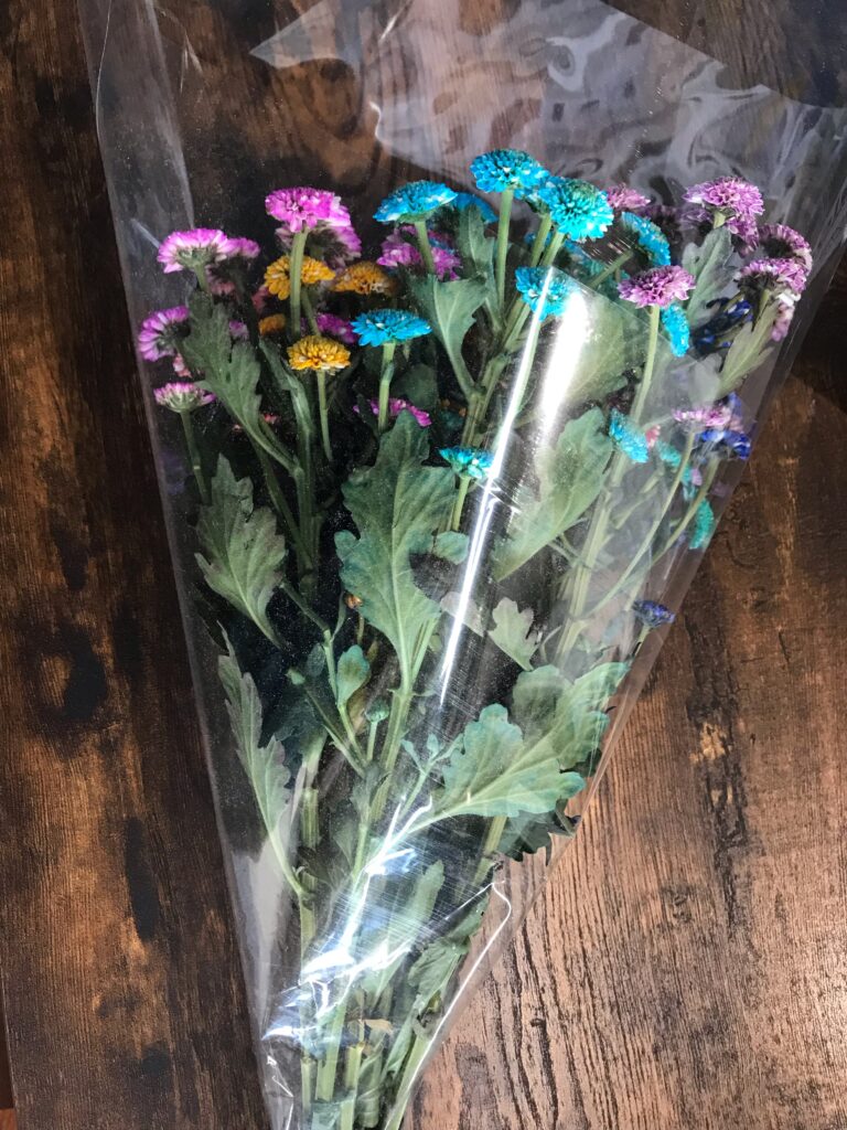 色鮮やかに染められた菊の画像