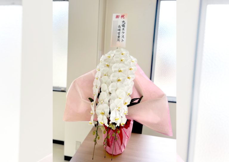 胡蝶蘭
